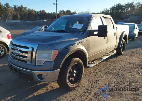 2009 Ford F-150 Fx4/King Ranch/Lariat/Platinum/Xl/Xlt z USA, uszkodzony, nr VIN 1FTPW14V99FB36730